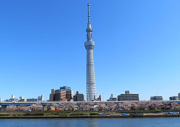 屋形船で隅田川のお花見 東京屋形船案内